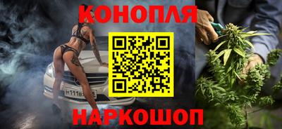 гашик Шелехов