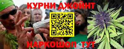 гашик Шелехов