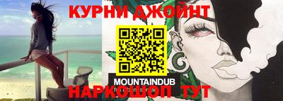 гашик Шелехов